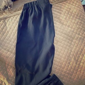 Aritzia Babaton XXS Work Pant/Jogger